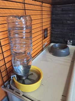 support distributeur d'eau pour lapin nain