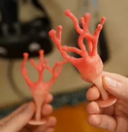 support free low poly neuron