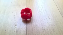 The Gear Ring