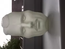 The Vase Face - Hollow Face Illusion  - Tesla / Einstein