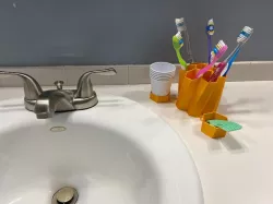 Toothbrush Hive