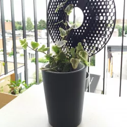 Trailing planter (upcycling prusament spool)