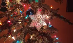 Translucent Ornament Snowflakes x3