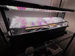 1020 Tray Germination Humidity Dome V1.0