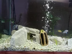 Aquarium Decoration - Rock Shard - Small