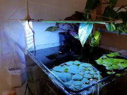 Aquarium LED Light Crane