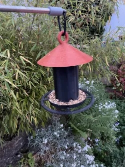 Bird feeder