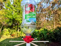 Bird Feeder Bottle For Whole Sun Flower Seeds