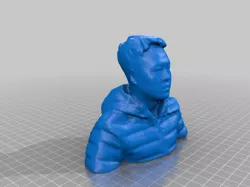 Bust toy（generated by Revopoint POP）