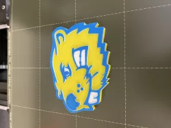 BVU Magnet