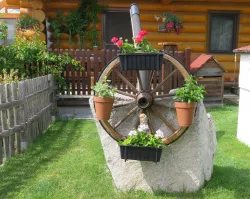 Cartwheel, Kolo od vozu, Wagenrad