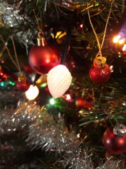Christmas lights cover set