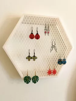Earring display & storage