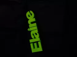 Elaine