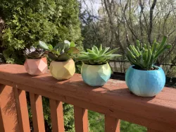 Elegant Low Poly Planters