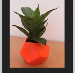 Elegant Vases/ Flowerpots