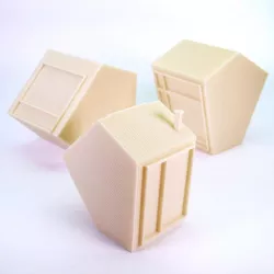 Forest Cabins