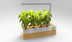 GreenGrowBox Janka