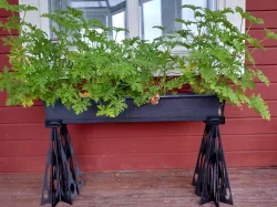 Holder for flower planter