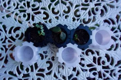 Modular Seedling Planter