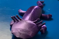 (not printable) Axolotl old model (Read Description)