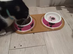 Pet Bowl Holder
