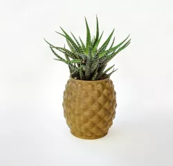 Pineapple planter