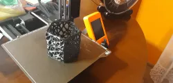 Polygon Box Mesh