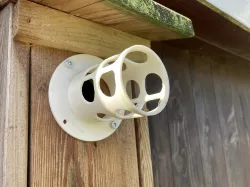 predator-protection