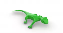 reptile