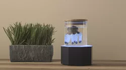 Robotic Creatures