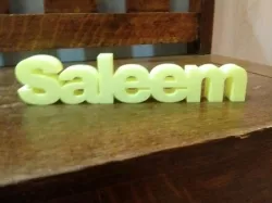 Saleem