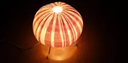 Sea Urchin Light