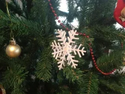 Simple beautiful snowflake on trees and walls