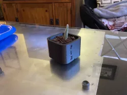 Simple Pot