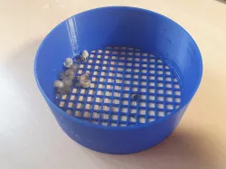 Snail Shell Sieve