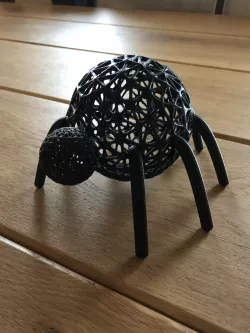 Spider for Halloween!