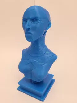 STAR WARS ASAJJ VENTRESS BUST