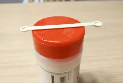 Stevia Measuring Spoon