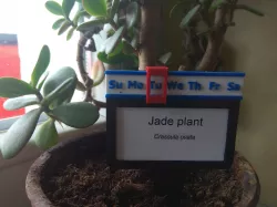 tag with an indicator of the last watering