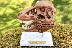 Terminator Rex