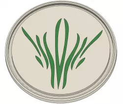 Truthwatchers coaster - Stormlight archive