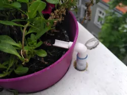 water hose plant pot tap 10mm