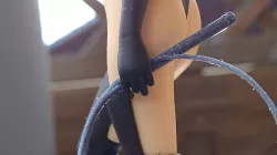 whip correct