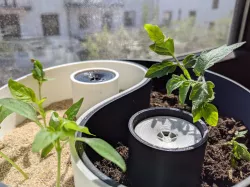 Yin Yang Planter  (self-watering)