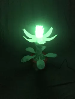 Alien Flower