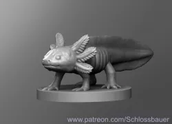 Axolotl