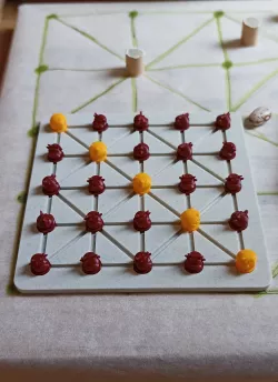 Bagh Chal board game, travel version