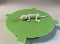 Base para pintar