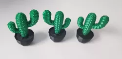 Cactus Plant MMU
